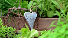 basket-6338913_by_congerdesign_pixabay_pfarrbriefservice_1_.jpg  