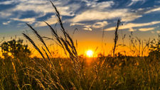 summer-2391348_1920.jpg  