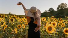 sunflowers-gdcb35aaa4_1280.jpg  