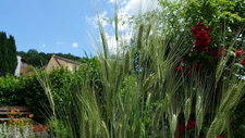 P1000374.JPG  
