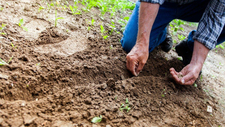 soil-2561136_1280.jpg  