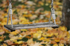 swing-3798895_by_manfredrichter_cc0-gemeinfrei_pixabay_pfarrbriefservice.jpg  