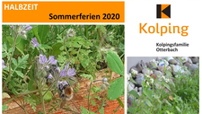 2020-07-27_Halbzeit_Aktion_Frühlingsband_2020_DIN_Vorlage_für_A4.jpg  