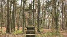 Steinernes_Kreuz_privat__5_.JPG  