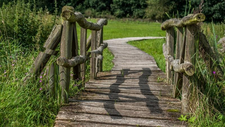 bridge-2550743_by_hmauck_cc0-gemeinfrei_pixabay_pfarrbriefservice.jpg  