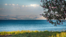 sea-4026566_1280.jpg  