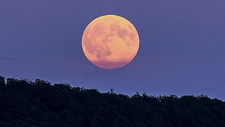 full-moon-965946_1920.jpg  