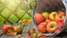 apples-1776744_1920.jpg  