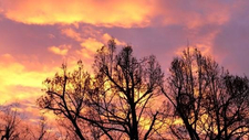 8580_sonnenuntergang_ueber_baeumen_by_peter_weidemann_pfarrbriefservice.jpg  