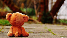 bear-1272799_1920.jpg  