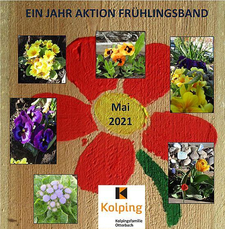 2021-05-07_Ein_Jahr_Aktion_Frühlingsband_21x21.jpg  