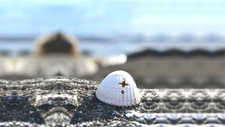 Muschel_by_dreampixer_cc0-gemeinfrei_pixabay_pfarrbriefservice__1_.jpg  