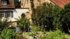 Klostergarten_2020.jpg  