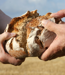 17384_07_brot_teilen_by_martha_gahbauer_pfarrbriefservice__1_.jpg  