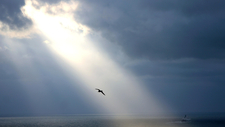 image_peaceful-2420515_byaaronwillcox29_cc0-gemeinfrei.jpg  