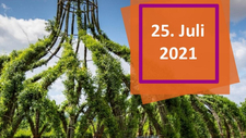 Flyer_GST_2021-07-25_1x.jpg  